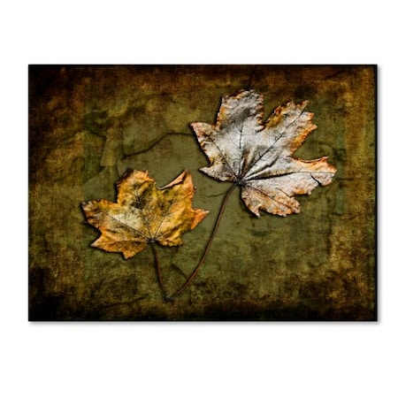 LightBoxJournal 'Metallic Leaf 2' Canvas Art,24x32